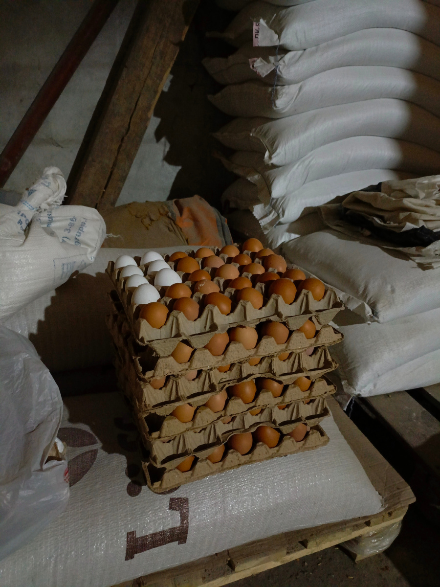 Яйцо от моих Кур