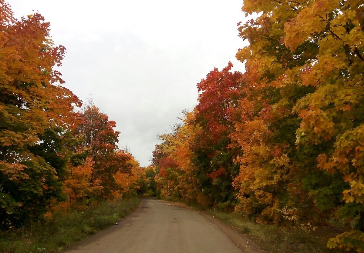 Фото: ® UfacityNews.ru