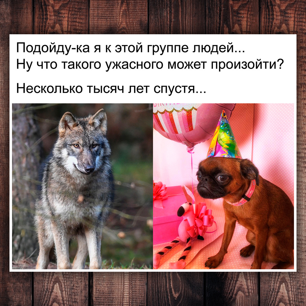 Фото с просторов интернета