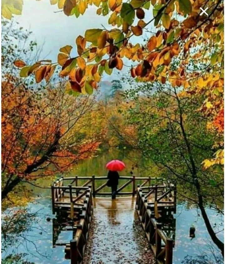 Капризы осени 