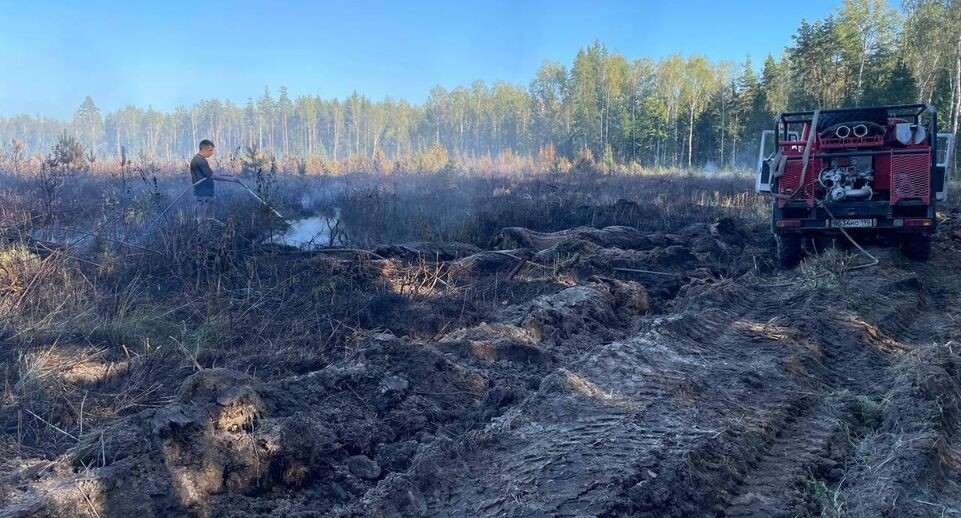    пресс-служба Комитета лесного хозяйства Московской области