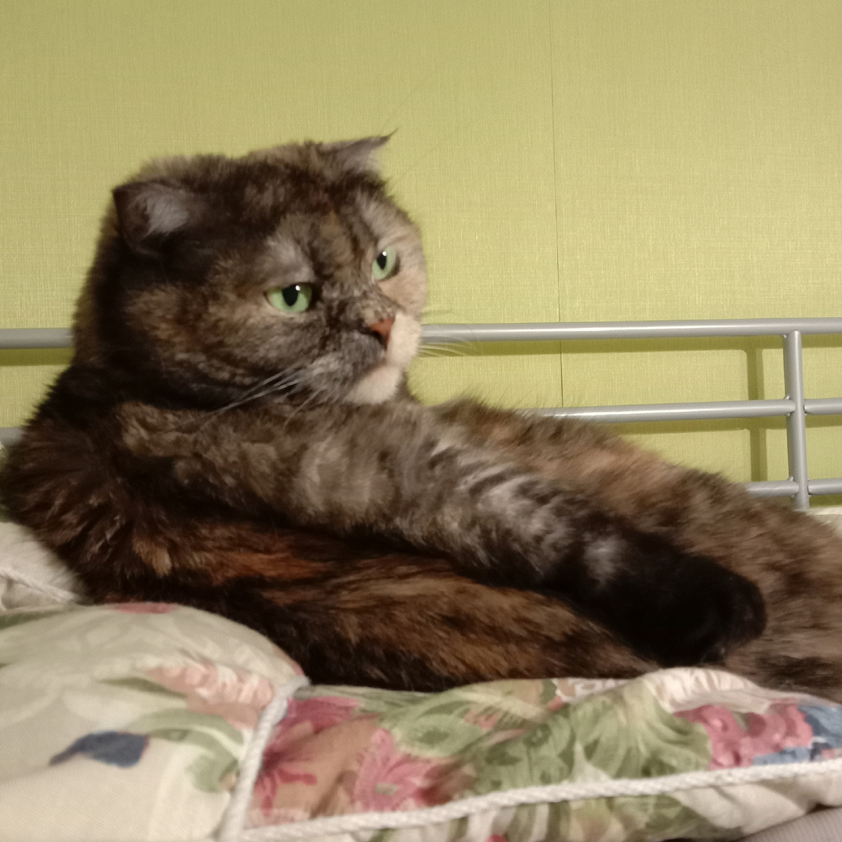 Мне можно, мне по необходимости