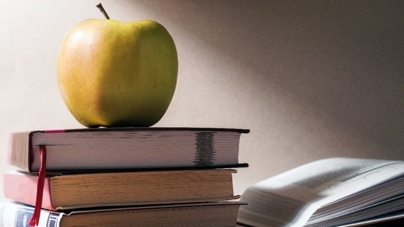 Фото: @aleksei_shandalin / freepik.com