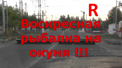 Рыбалка в воскресенье! Симптом выходного дня! R.