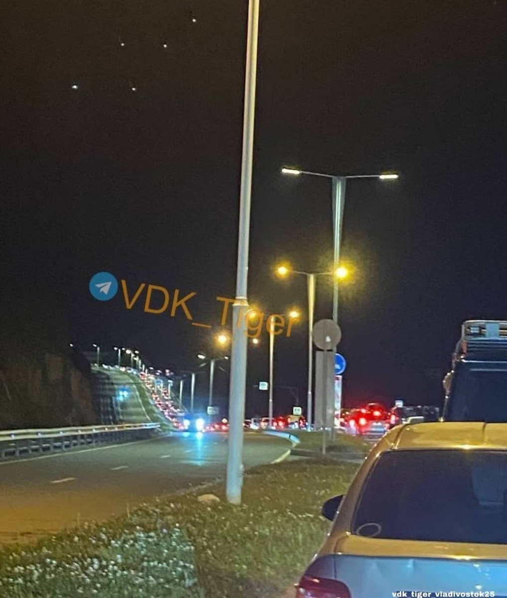     Источник: vdk_tiger_vladivostok