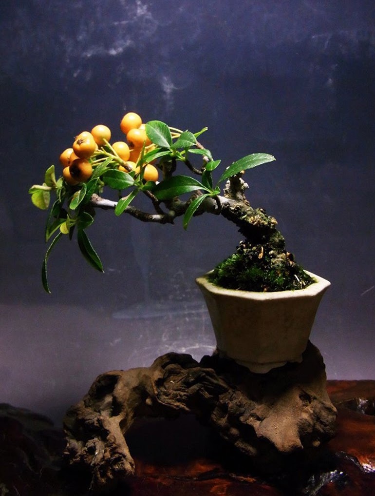 Это не лимон))