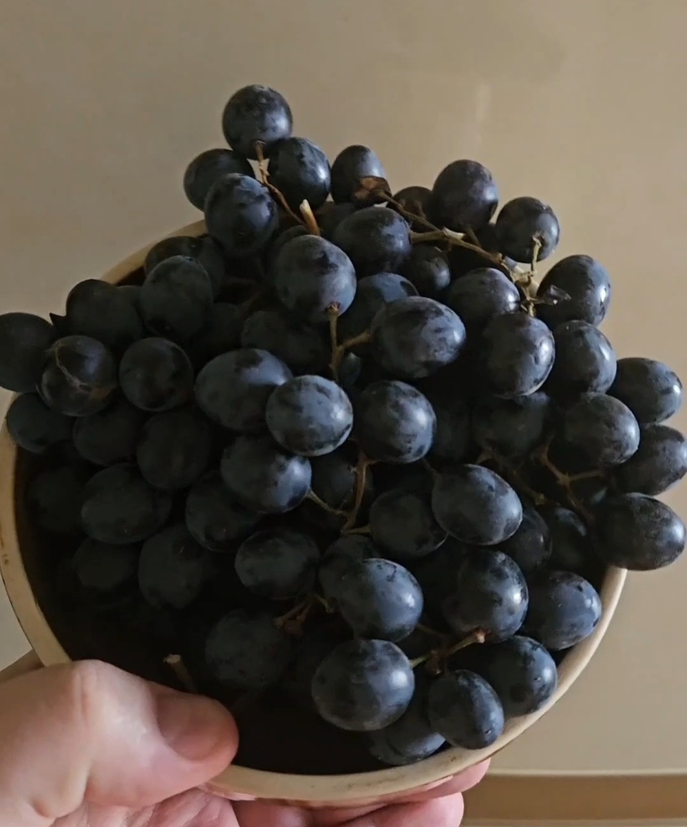 Фото нашего винограда