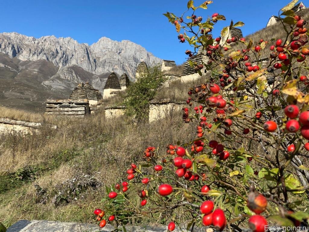 Даргавс. Северная Осетия