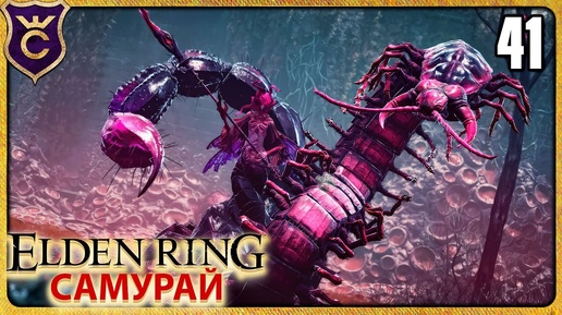 ПОСЛЕДНИЕ БОССЫ DLC 41 ELDEN RING Самурай