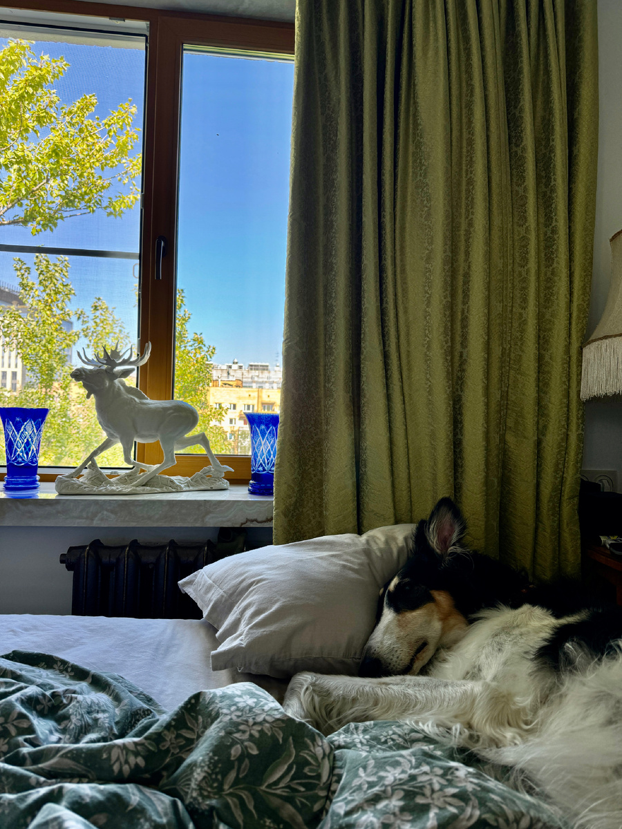 Почти все новое это хорошо забытое старое, всем известно, что психологи советуют для сохранения ментального  здоровья регулярные путешествия, смену «картинки» это освежает чувства и восприятие, позволяет перезагрузиться и наполняет энергией, я всегда за путешествия и поездки пусть даже на один день, походы в театр или на выставки, однако сегодня в самом начале осени хотел рассказать о одной традиции, которая много лет живет в нашей семье, и которая на мой взгляд помогает освежить привычную обстановку и внести ощущение новизны в ежедневную рутину. Как во всех домах у нас в семье были приняты так называемые генеральные уборки, которые проводились раз в сезон весной, летом, осенью и зимой, помимо колоссальной работы которую подразумевает данное мероприятие два раз в год была очень приятная составляющая, это сезонная смена текстиля, конечно так это никто не называл, всегда говорили просто, «пора менять шторы» хотя под этим подразумевалась не только смена штор на окнах, но покрывала в спальнях, наволочки на декоративных подушках в гостиной, комплекты столового и постельного белья, полотенца, салфетки и пр. И так по порядку, у нас всегда существовало два варианта летний и зимний. Летом были более светлые оттенки и легкие ткани штор, декоративных подушек, в том этому подбирались комплекты постельного белья, и конечно, скатерти и кухонные полотенца, и салфетки, зимой же наоборот, более яркие и насыщенные цвета, тяжелые бархатные или парчовые шторы. Все это полностью меняло интерьер дома, вносило то самое ощущение новизны освежая чувства и эмоции. Это очень интересная и достаточно доступная практика, ведь на сегодняшний день уже научно доказано, что в среднем ощущение новизны в интерьере теряется через первые пол года, и всего навсего сезонная смена текстиля, два раза в год, позволяет чувствовать себя в новом интерьере постоянно! 