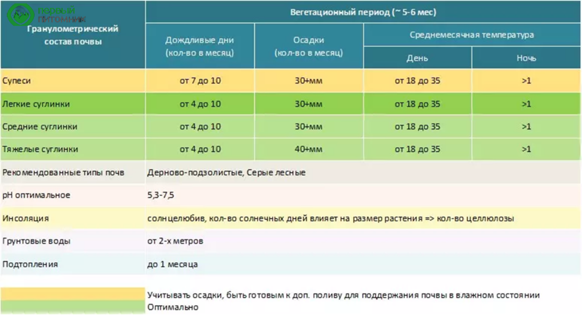 Природно-климатические критерии выращивания мискантуса. Источник фото: ООО "Первый питомник"