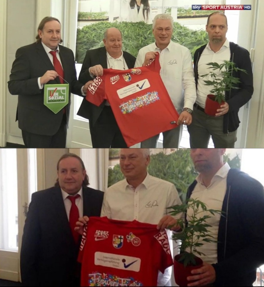 Они принесли куст на презентацию!!!