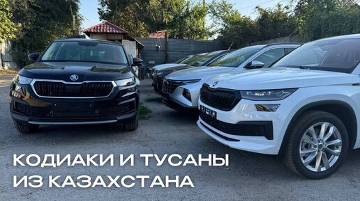 Пригнали Skoda Kodiaq и Hyundai Tucson из Казахстана без посредников. Привезли и оформили новые автомобили в России