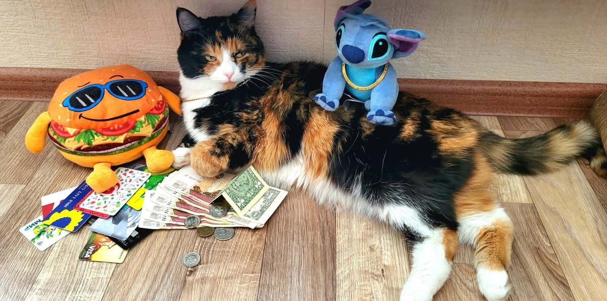 Это к деньгам, однозначно 💸💸💸💸