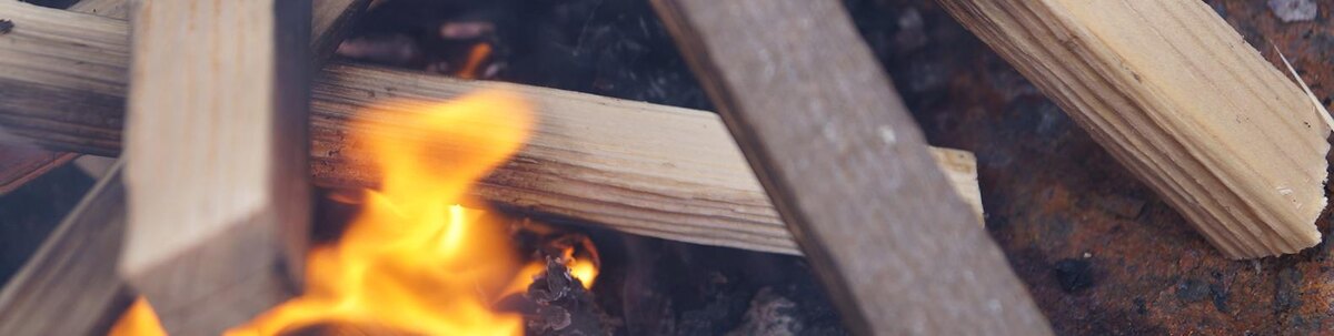    Фото: Сергей Егоров