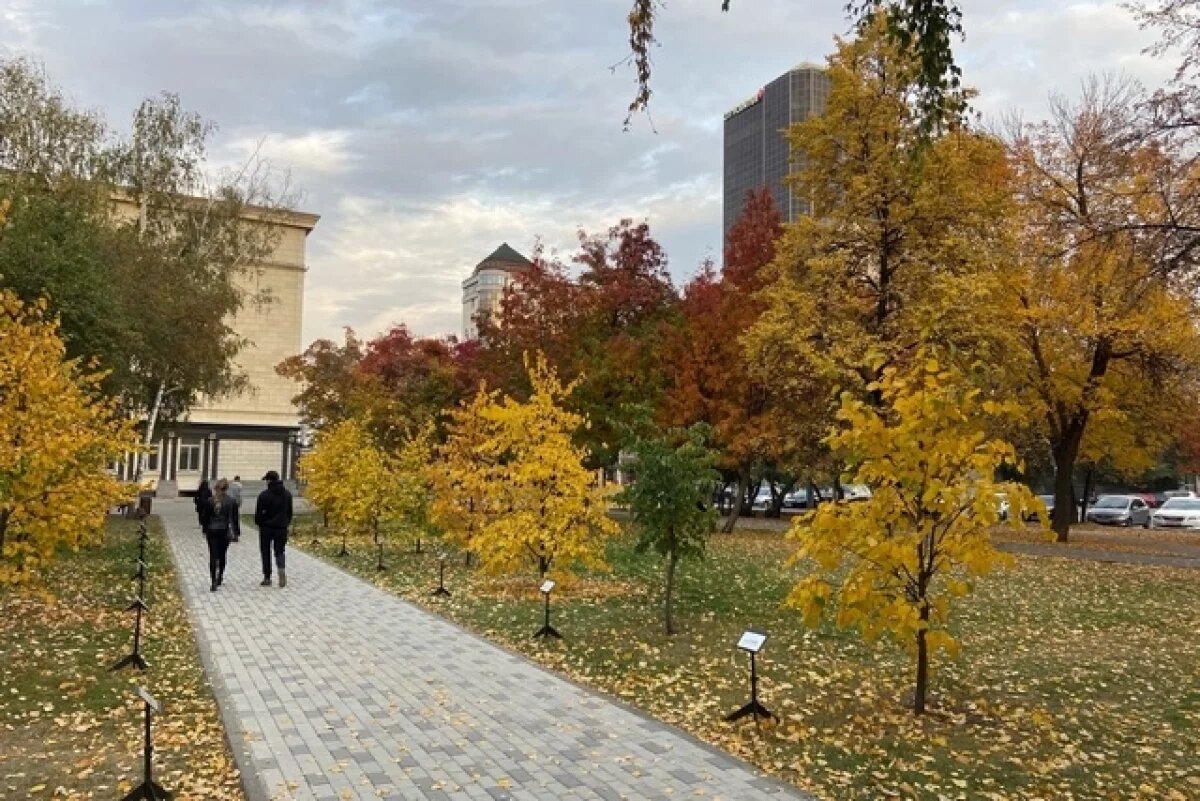    В Новосибирске сравнили бабье лето за прошедшие десять лет