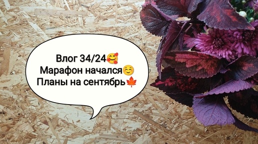 Влог 34/24🥰 Марафон 