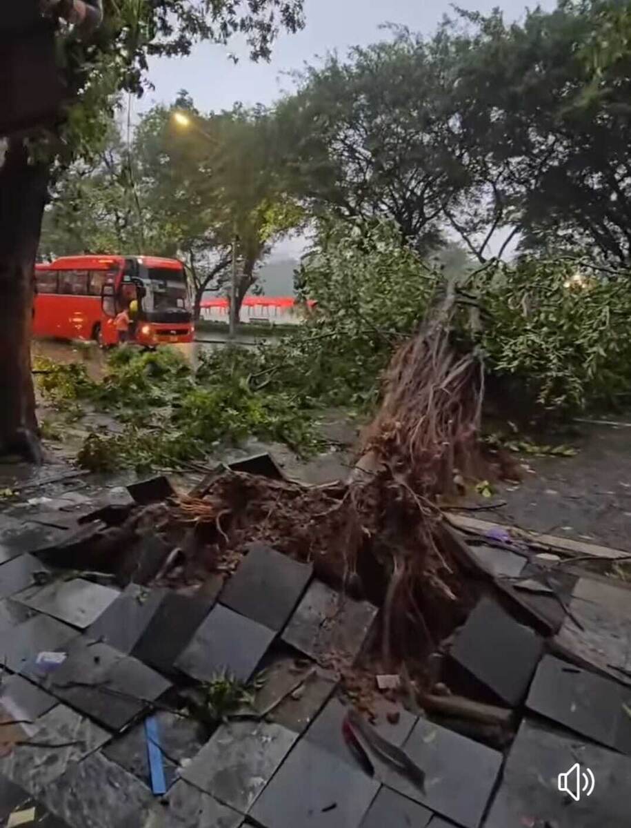 По этому тротуару мог проходить любой... 