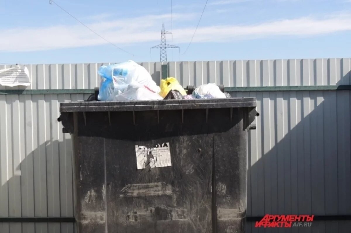    Глава Смоленска потребовал разобраться с нехваткой мусорных контейнеров