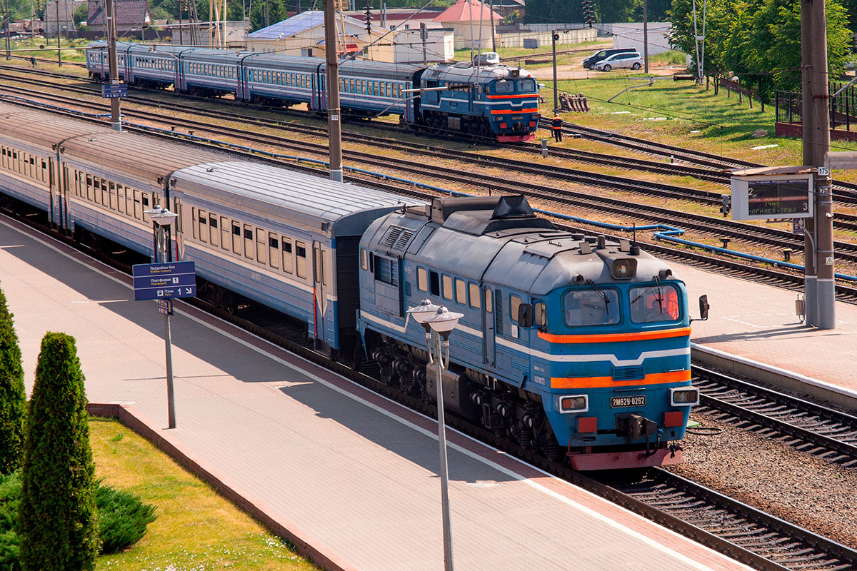    Фото: Alena Zharava / Shutterstock.com