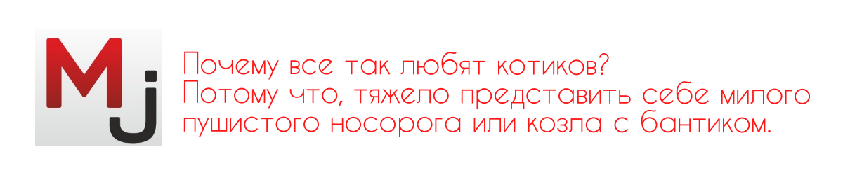 Миллион работ любит котиков. А вы?