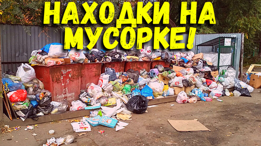 Мои находки на мусорках Питера!