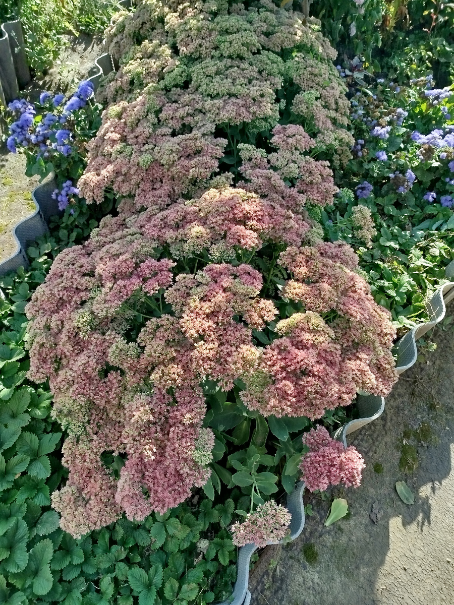 #Мои любимые