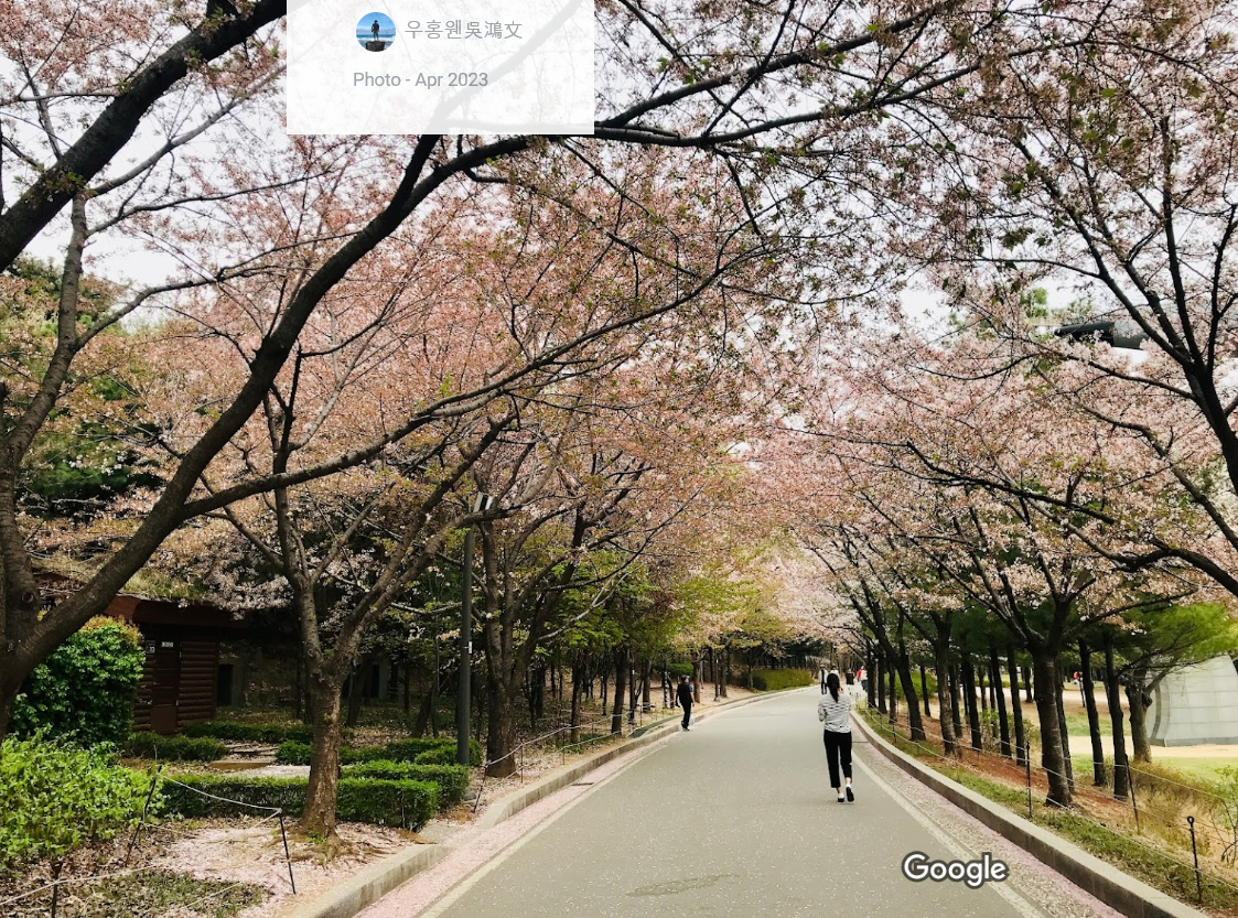 Boramae Park