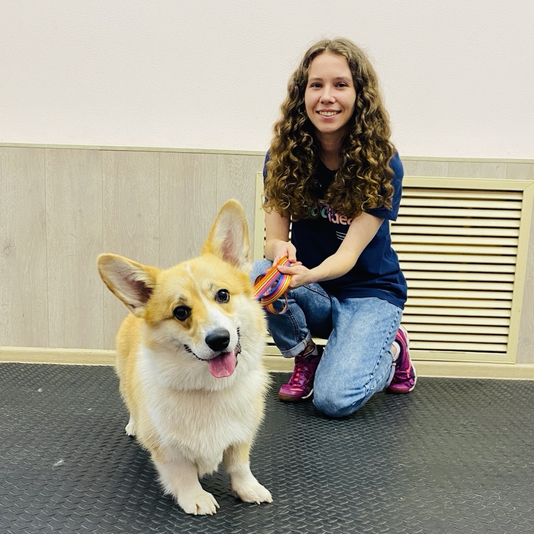 Корги Коби и хозяйка Екатерина на занятиях в Догги-центре, Архангельск
