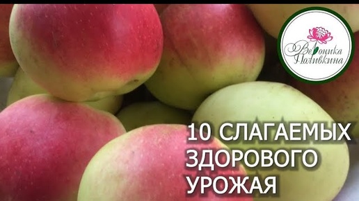 10 слагаемых здорового урожая