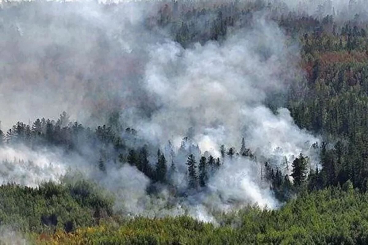    Высокая пожарная опасность ожидается в Псковской области с 10 сентября