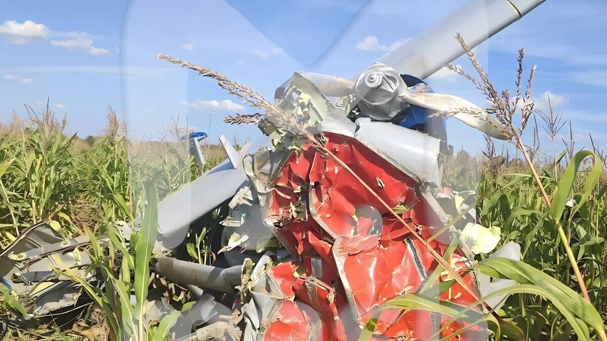     Источник: Mash