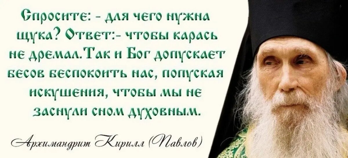 Источник фото: Яндекс Картинки