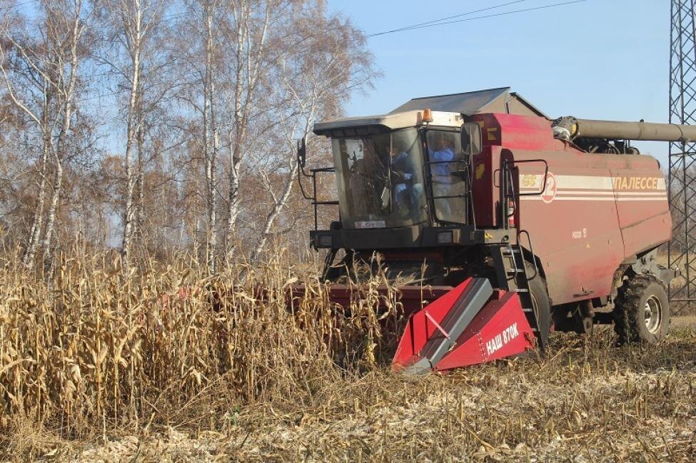    Фото из архива редакции