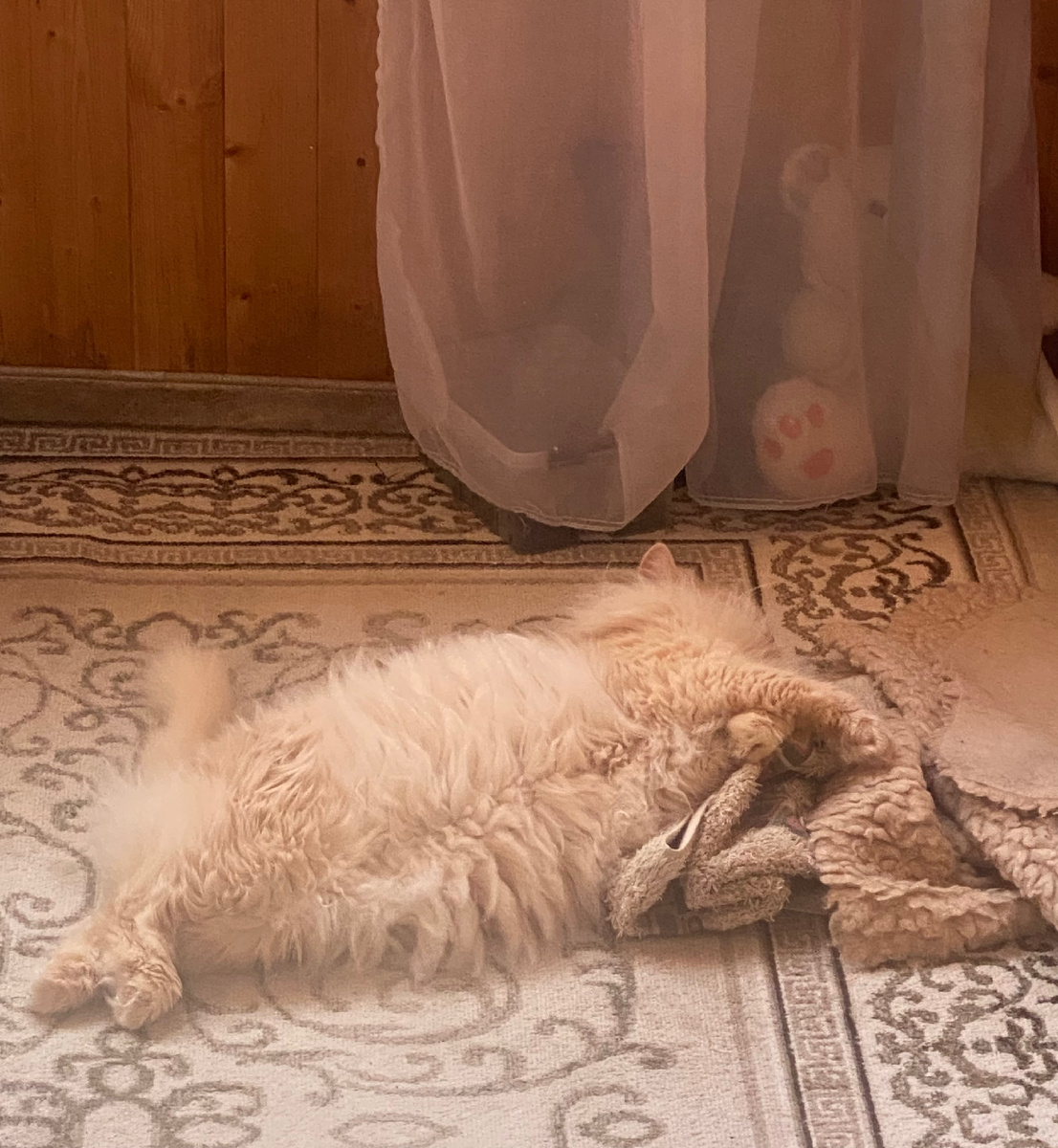 Перчик солидарен 