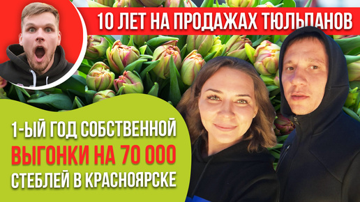 Выгонка 70 000 тюльпанов в Красноярске на гидропонике. Первый год. Опыт наших клиентов.