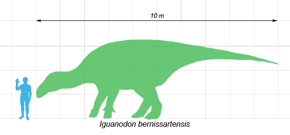Изображение человека и игуанодона в одном масштабе. Рисунок Dinoguy2 CC BY-SA 3.0