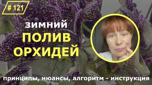 Download Video: # 121 Как поливать домашние орхидеи?! Зимний полив орхидей. Особенности и правила полива домашних орхидей в осенне - зимний период