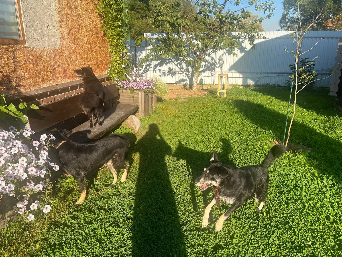 Все вместе лезем в окно!