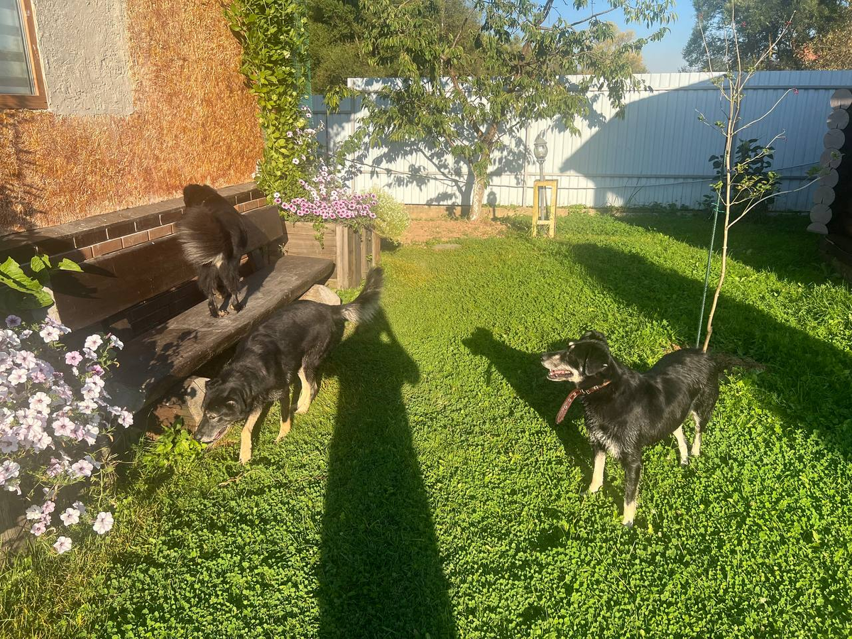 Клепа - самая осторожная девочка)