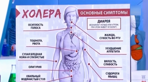 Холера: невидимая угроза, которая может затронуть миллионы