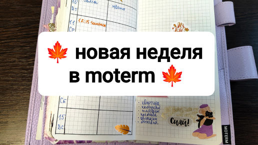 Оформляй со мной 🍁 новая нелеля в moterm 🍁