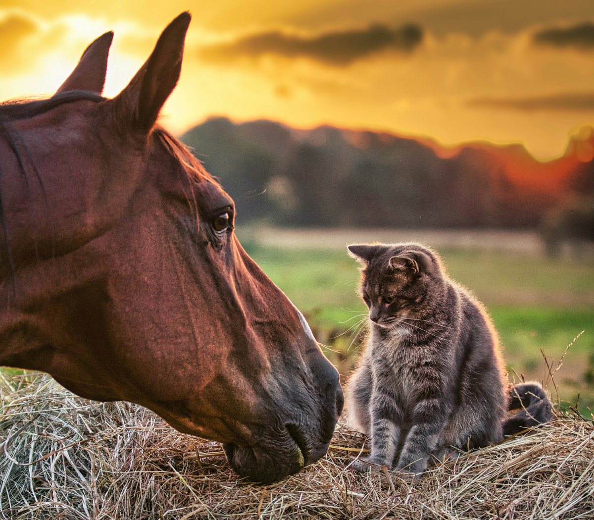 Фото: Chandler Cruttenden/Unsplash.com