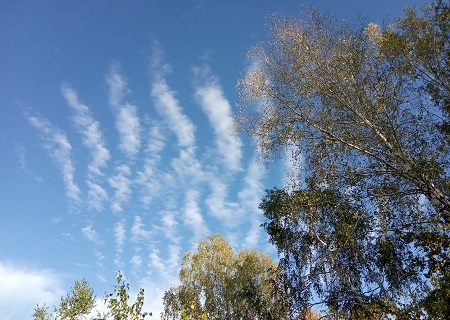 Фотография из личного архива автора