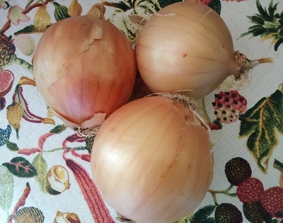 Фотография из личного архива автора