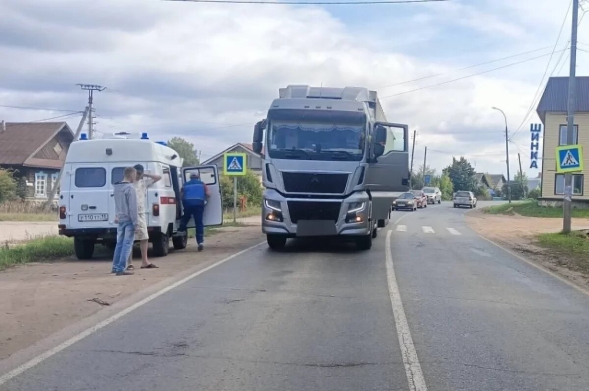    В Удмуртии водитель грузовика сбил 8-летнюю девочку