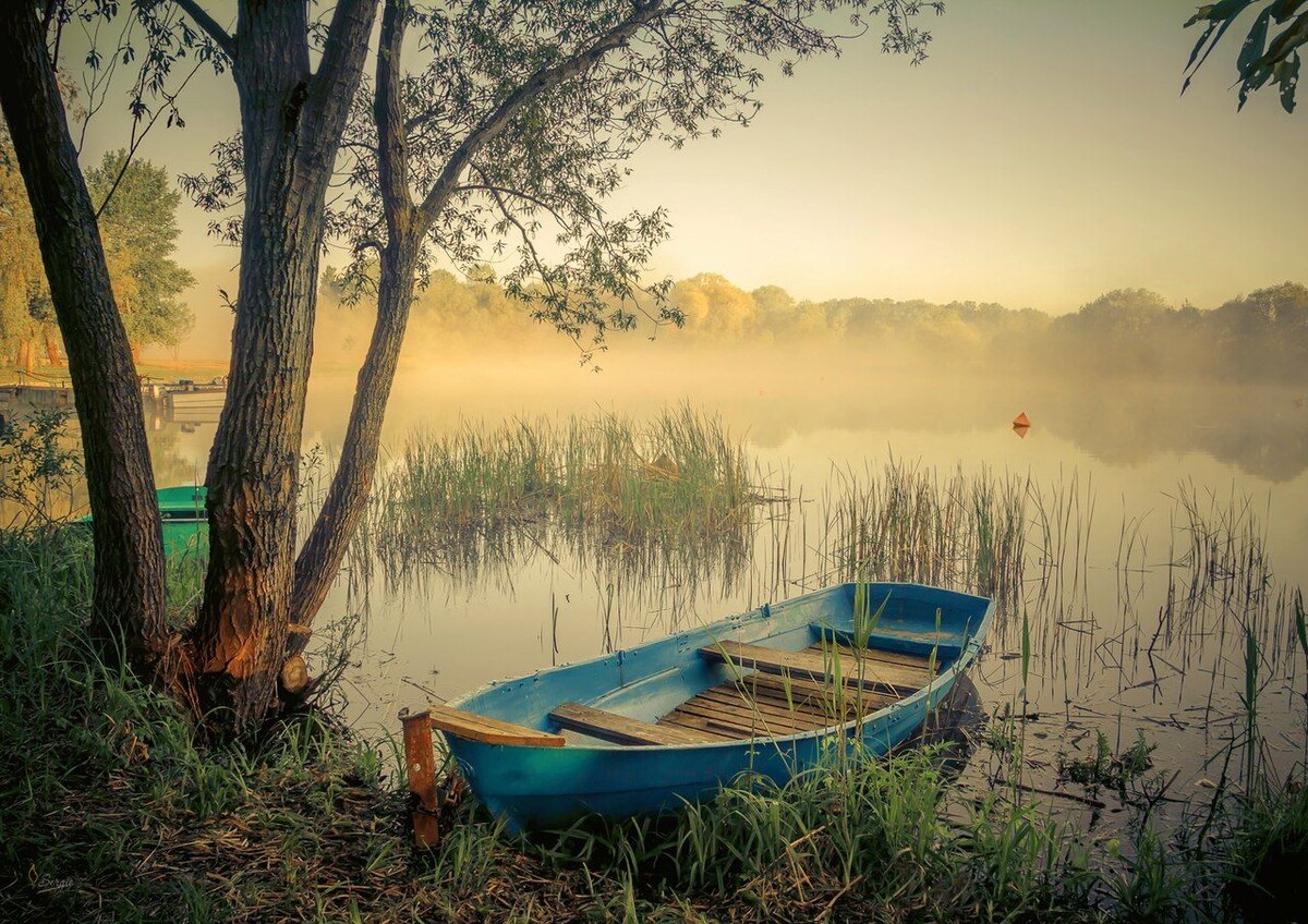 Иллюстрация из свободных источников.