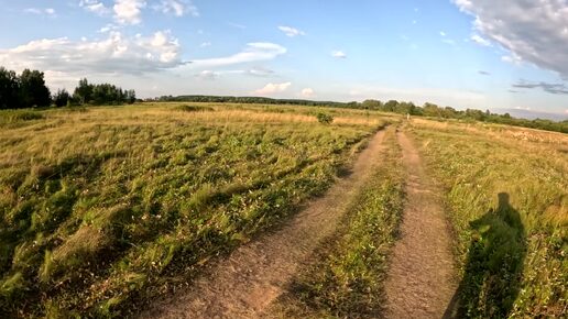 Велопрогулка по загородному парку всей семьей!