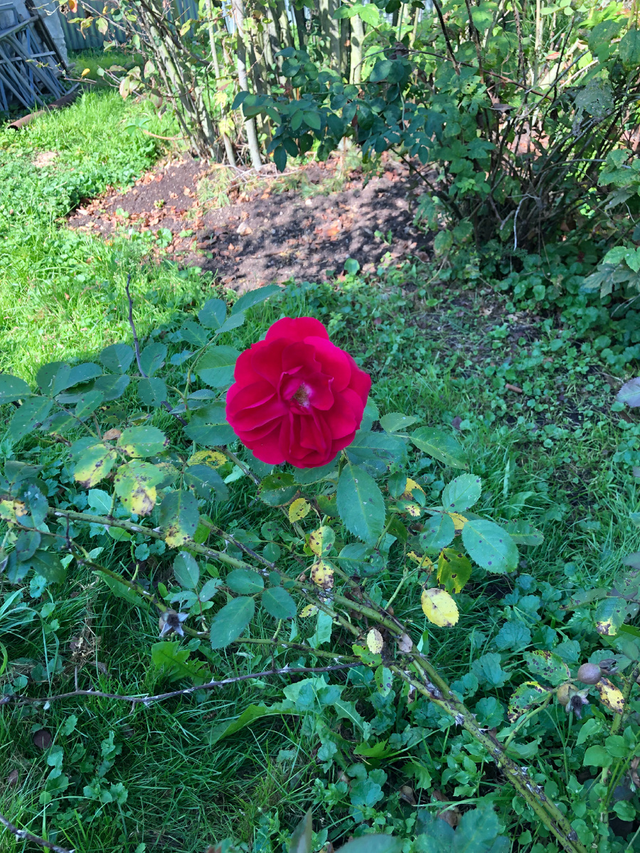 Одна девочка ждала ждала принца. Здесь то и приходит на. Тебя будет ждать любящий коллектив. И вот пришли они люди без чувства юмора. Жду принца.