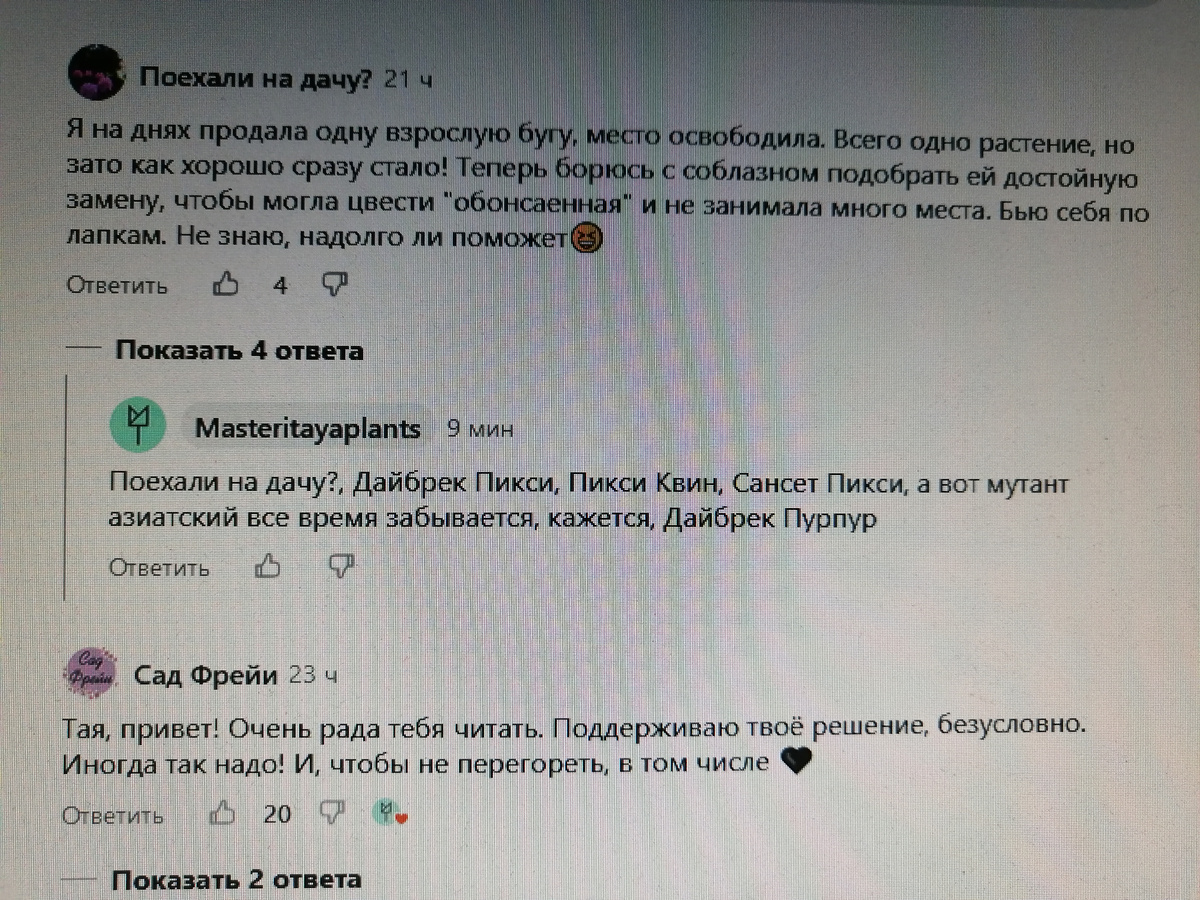 Фрагмент "шлейфа" комментариев под статьёй. Masteritayaplants посоветовала несколько сортов, помимо Мини Тай. про который я уже знала